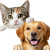 ペット供養